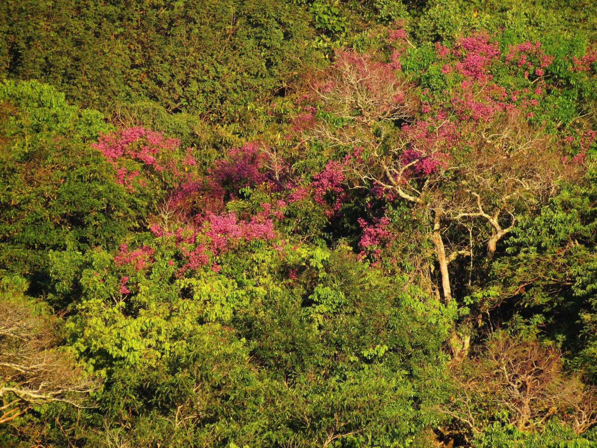 Cantos Da Mata Chapada dos Guimarães المظهر الخارجي الصورة