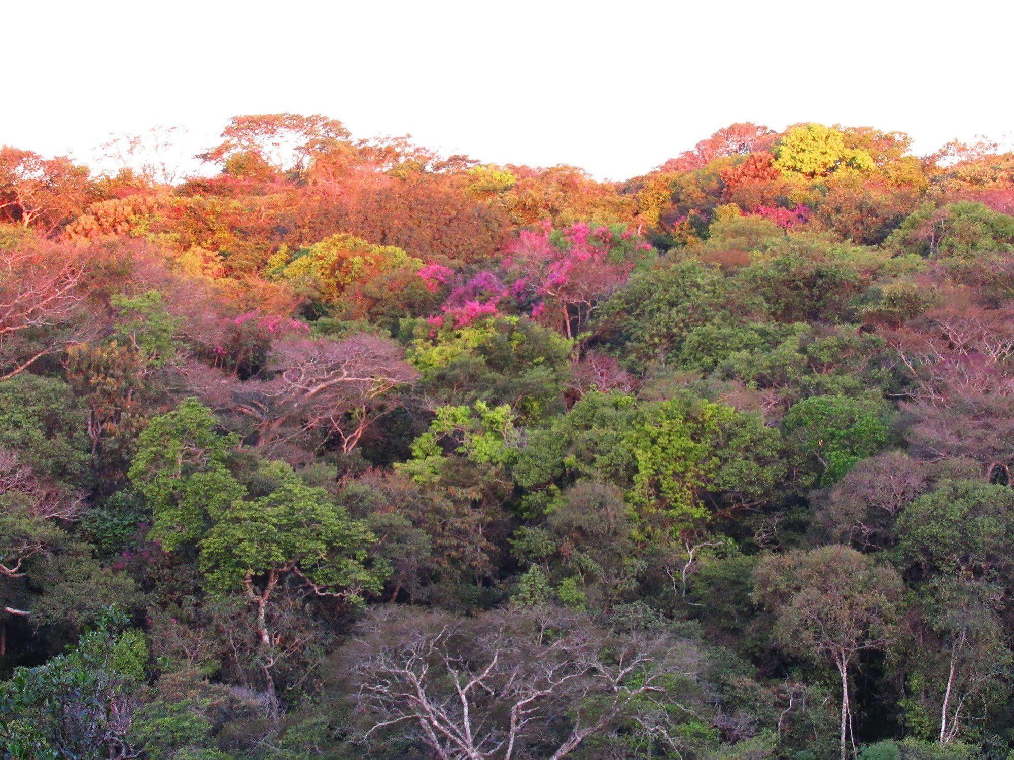 Cantos Da Mata Chapada dos Guimarães المظهر الخارجي الصورة